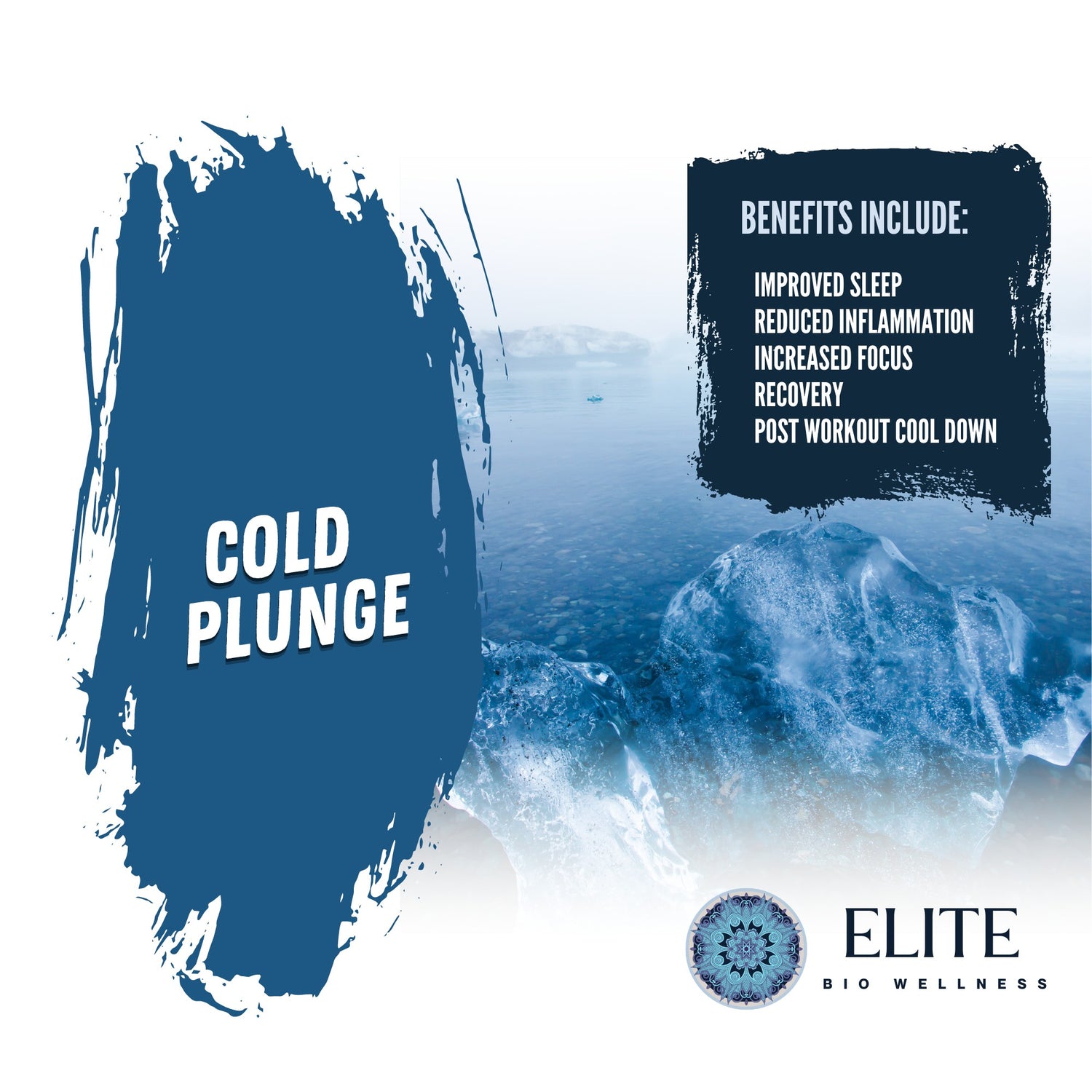 Cold Plunge Biohacking at Elite Bio Wellness